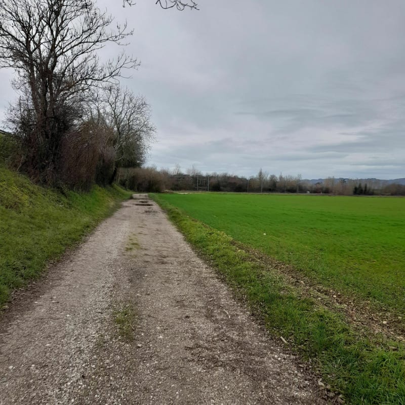 Balade dans la plaine de Rives - Beaucroissant