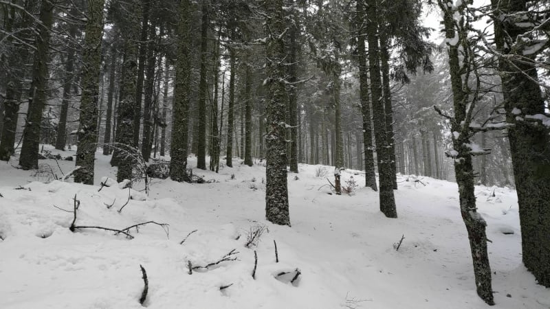 Balade de La Bresse vers le Hohneck - La Bresse