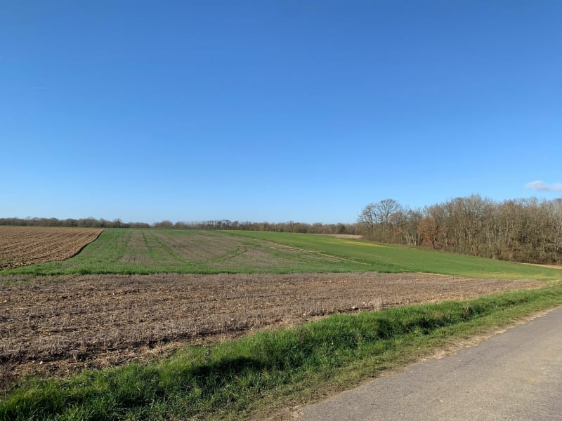Rando à Faÿ Les Nemours - Faÿ-lès-Nemours