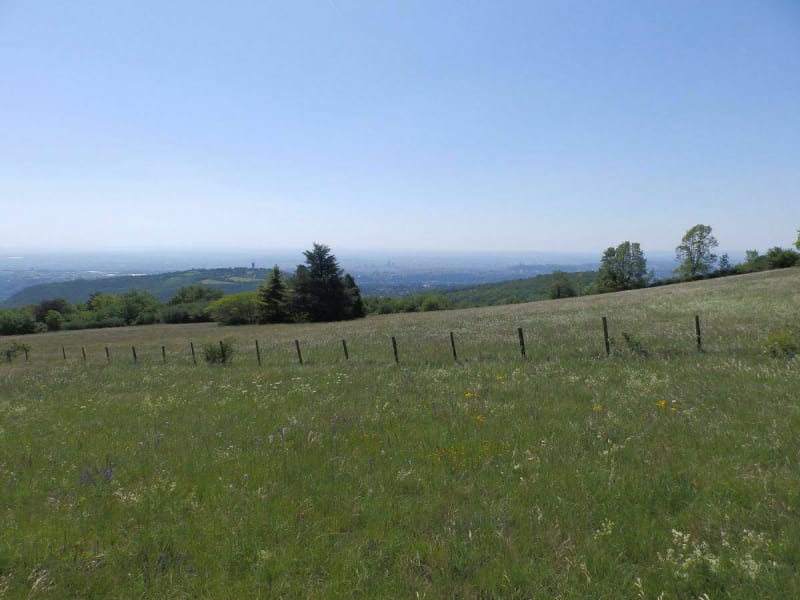 Limonest mont Verdun - Limonest