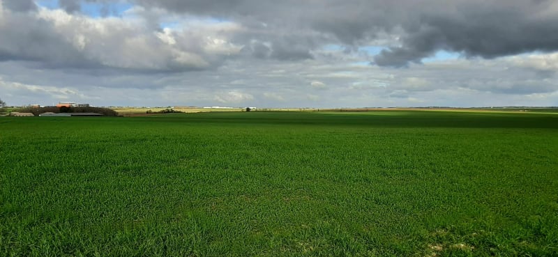 Plaine et village - Aiffres