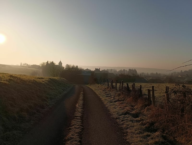 Belle balade dans les bois de Fedry - Fédry