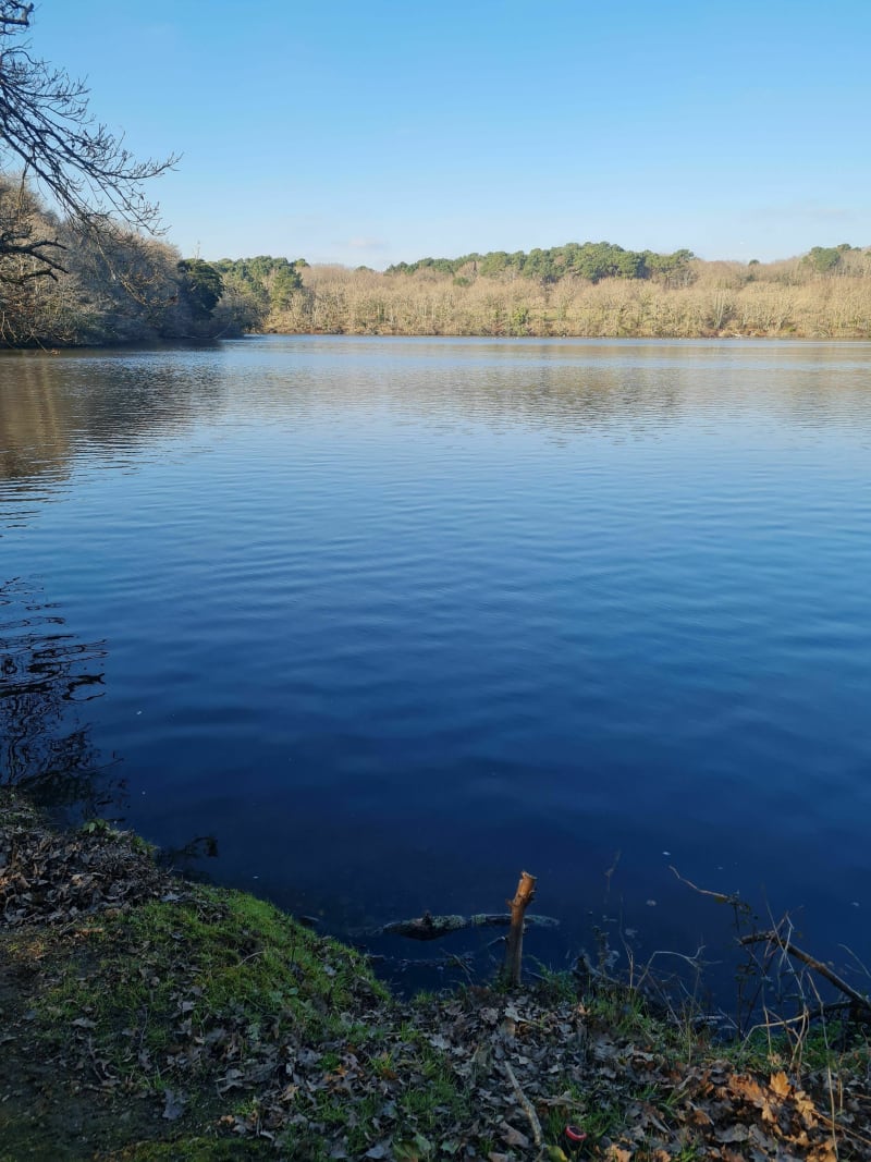 Petit tour de l'Étang de Saint-Mathurin - Ploemeur