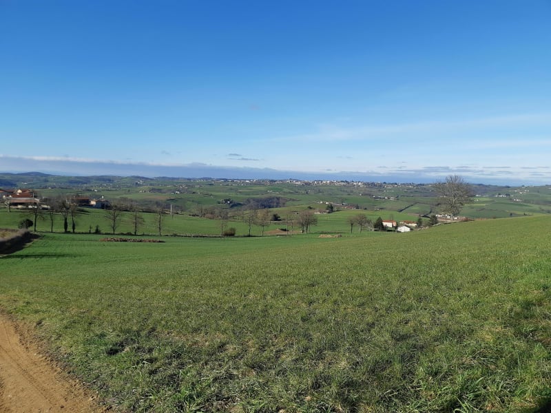 Belle balade autour du Moulin Brûlé à Savigneux - Chevrières