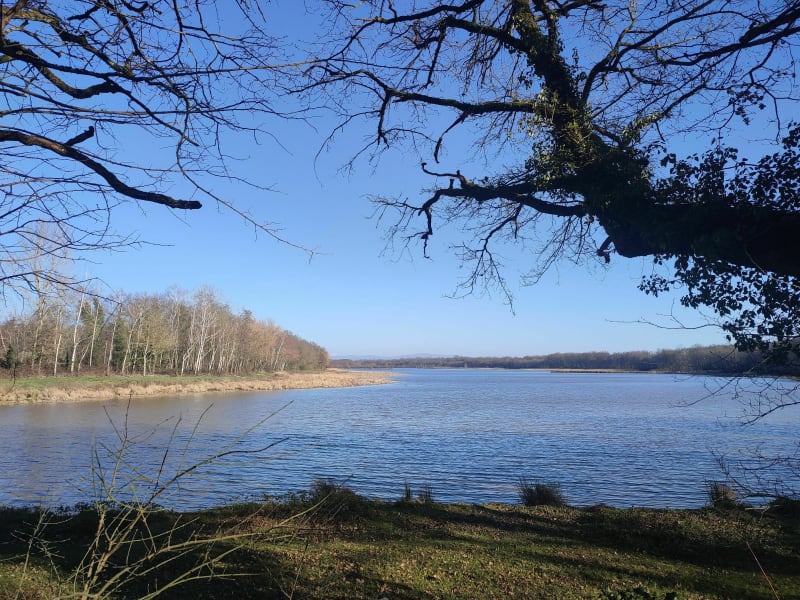 Promenade aux 1000 étangs depuis Birieux - Birieux, Villars-les-Dombes