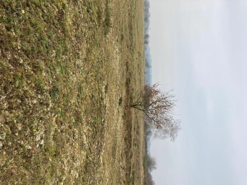 Boucle de la réserve de Moisson - Moisson