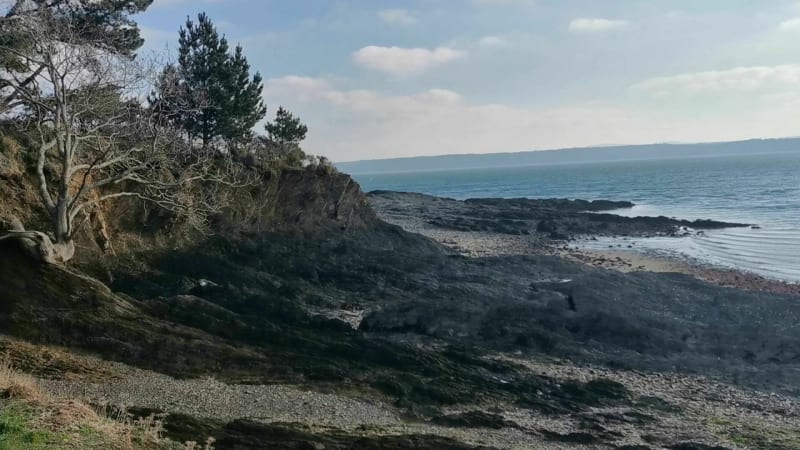 La Plougastell - Plougastel-Daoulas