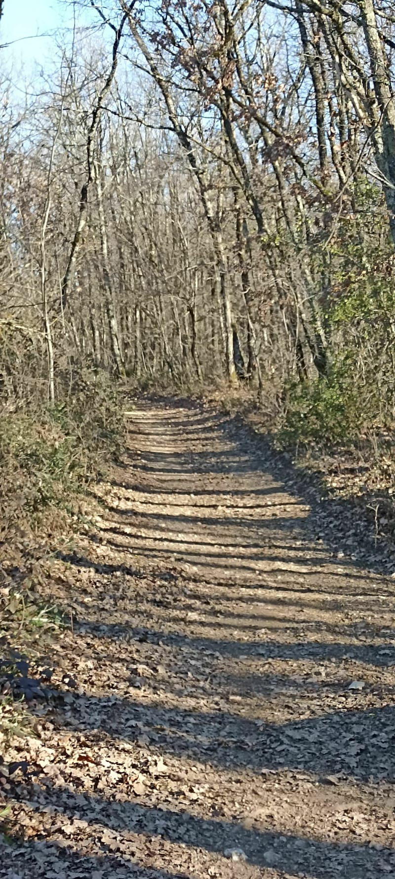 Balade matinale à Valdurenque - Valdurenque