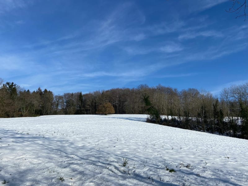 L’étang de la Léche - Saint Martin Bellevue