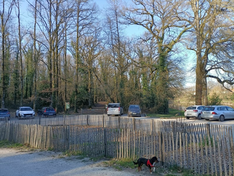 Balade à Saint Laurent sur Sèvre - Saint Laurent sur sèvre