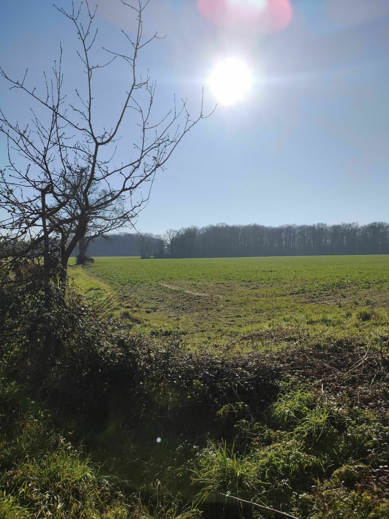 Belle balade dans le sud de la Touraine - Saint-Flovier
