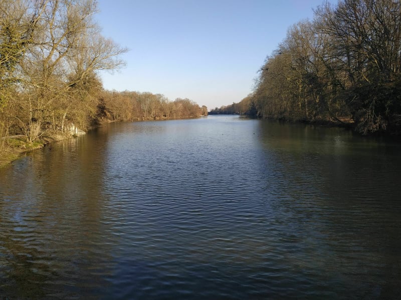 Bord de Loiret à vélo ou presque - Olivet