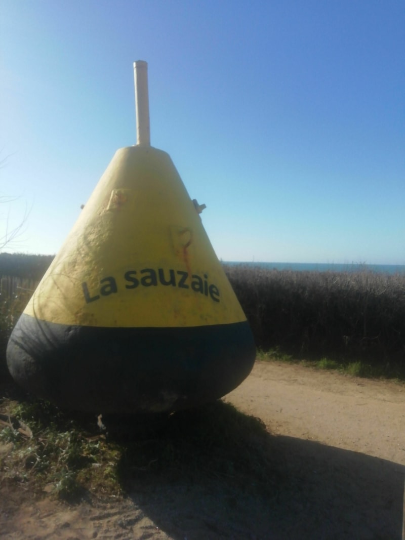 Course à pied au départ de La Sauzaie Bretignolles-sur-Mer - Bretignolles-sur-Mer