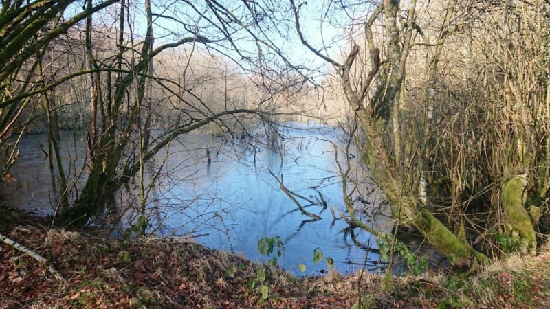 Autour du canal de Haute-Saône depuis le port de Frahier - Frahier-et-Chatebier