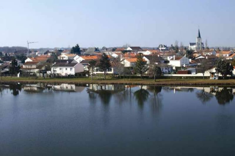 Course dans la forêt de Saint-Léger-sous-Cholet - Saint-Léger-sous-Cholet