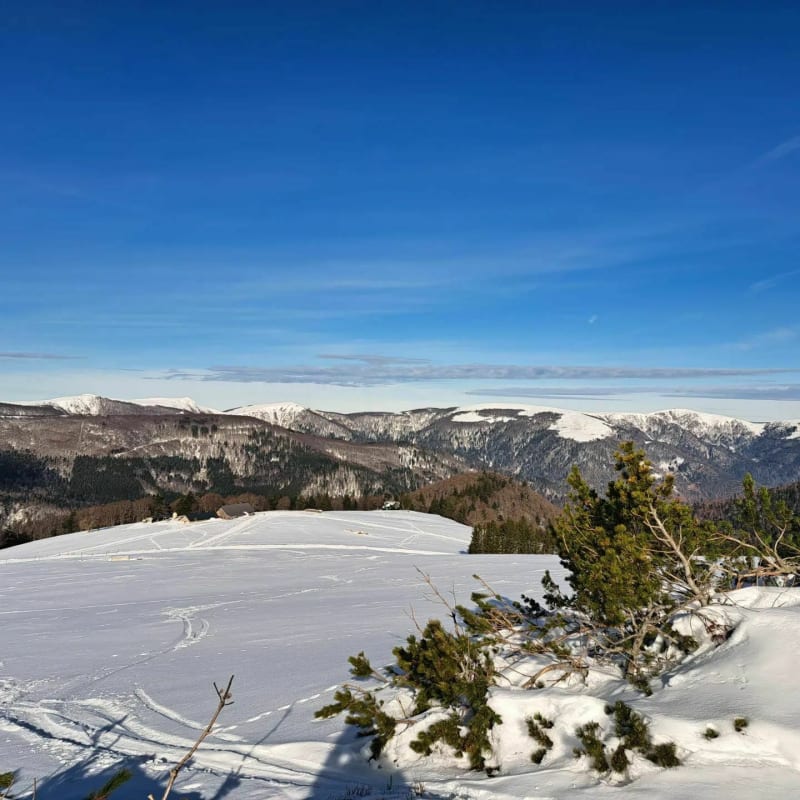 Boucle hivernale vers le Markstein depuis le Platzerwassel - Sondernach