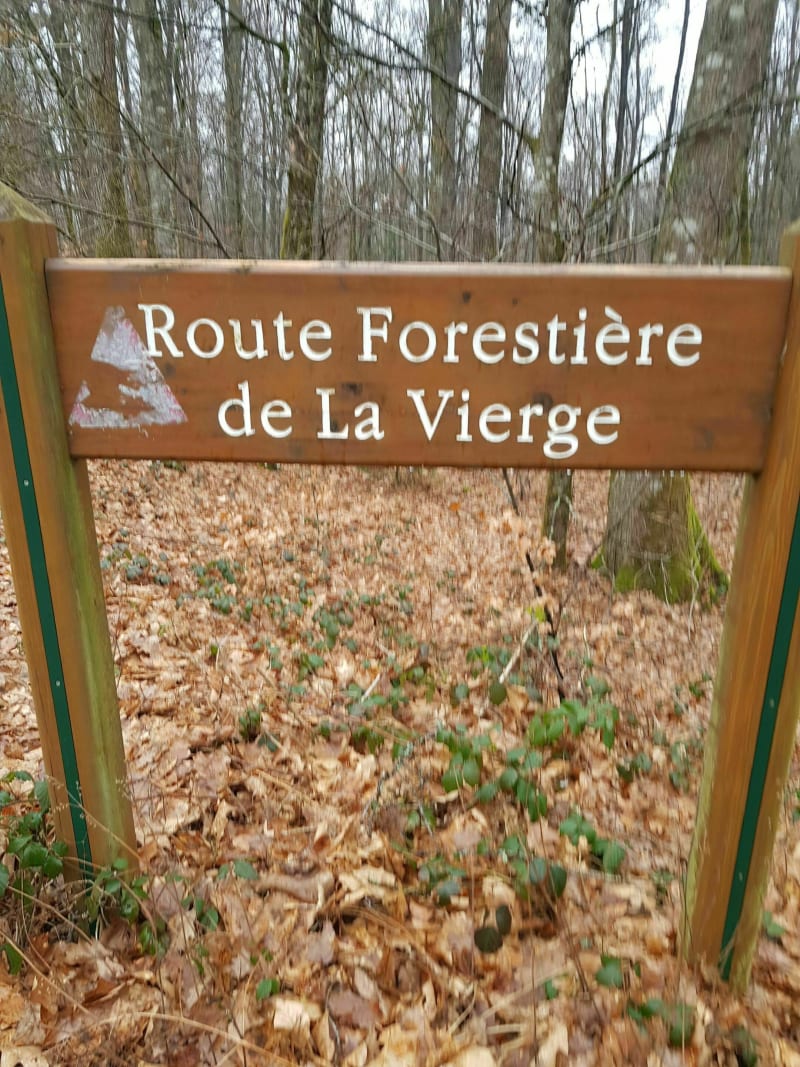 Epinal et bois de la Vierge - Épinal
