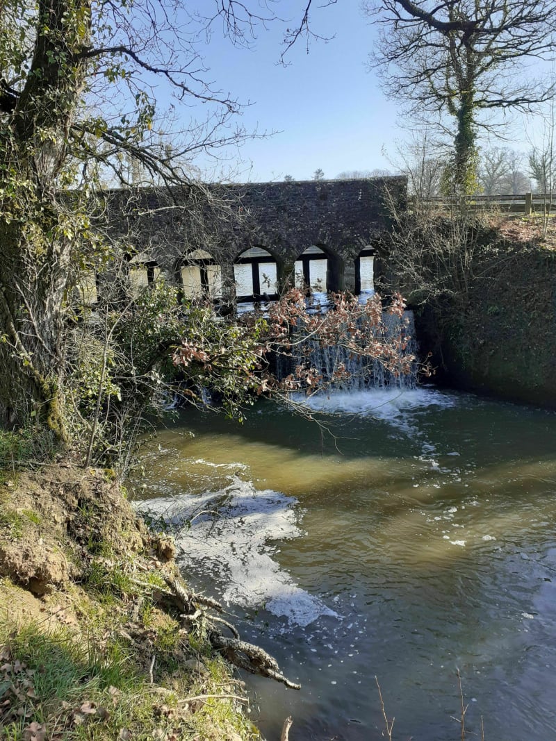 La Boixière et l'étang de Chevré - La Bouëxière