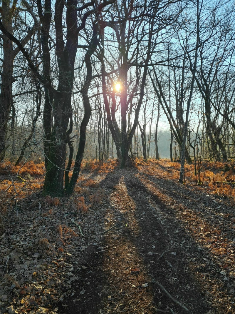 Rando VTT à Thénac, par le bois de la Chaussé - Thénac
