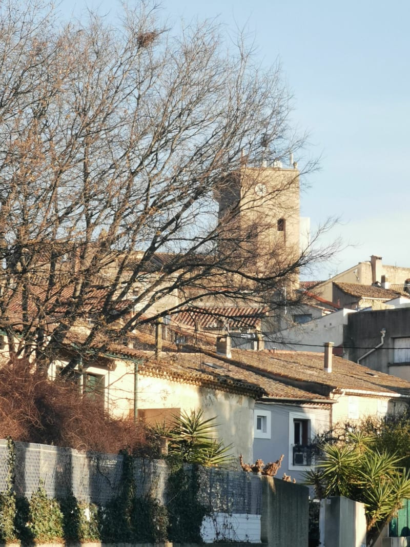 Balade facile sur les terres Abeilhanaise - Abeilhan