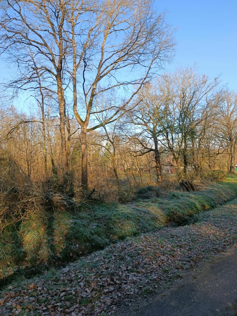 Balade au milieu des champs par la Jorandière - Saint-Georges-sur-la-Prée