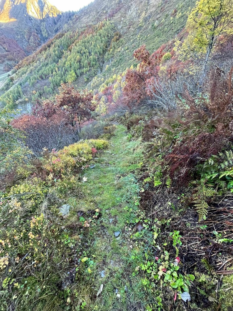 Sentier des cascades à Lieulever - Montsapey