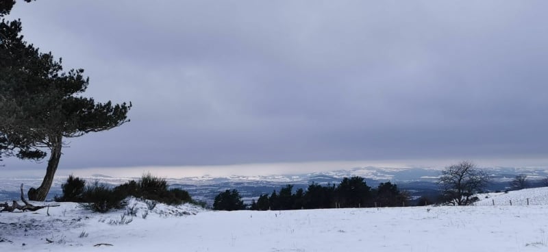 Entre Pins et Chênes au coeur de la vallée perdue de Chaspin - Chaspinhac