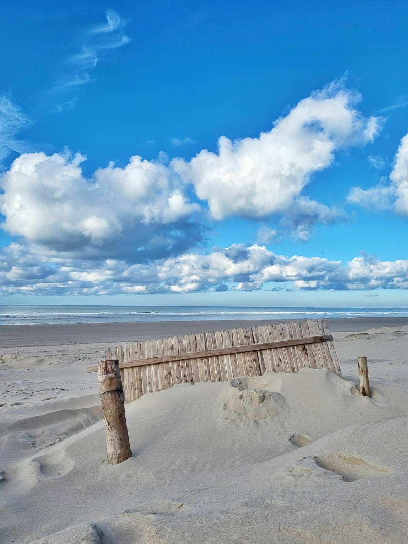 Entre mer et forêt au Touquet - Le Touquet-Paris-Plage