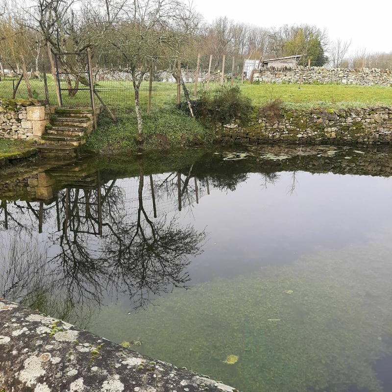 Misère à Chavagne par le Moulin de la Rivière - La Crèche