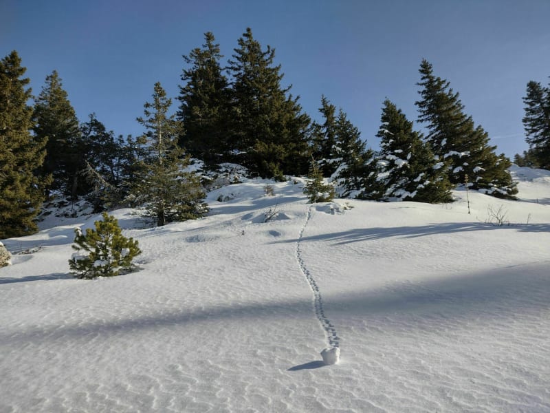 Metabief et le mont d'or - Métabief