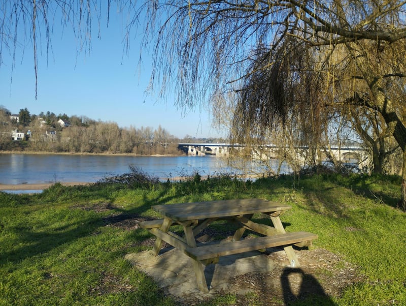 Balade au bord de Loire à La Riche - La Riche