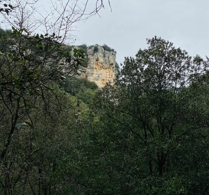 Belle balade en forêt à Saint Montan - Saint-Montan