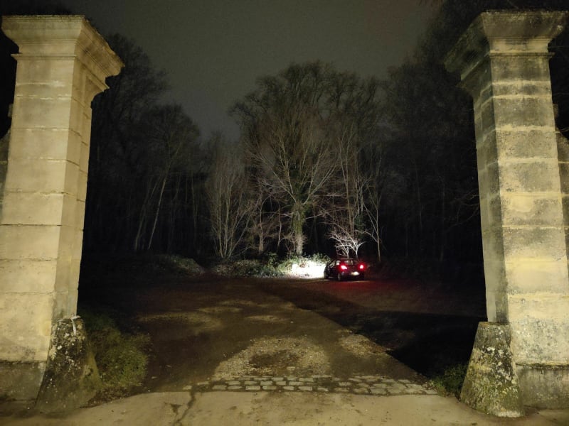 Forêt du Mesnil - Le Mesnil-le-Roi