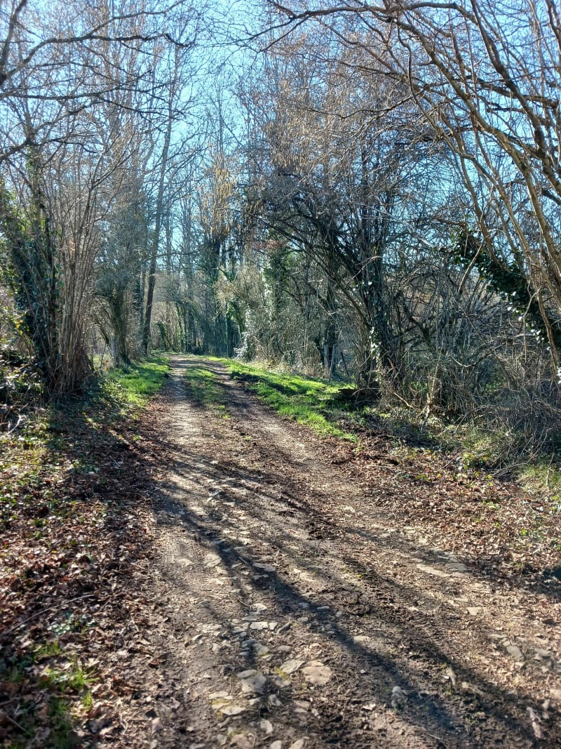 La tombe du marchand - Chamboret