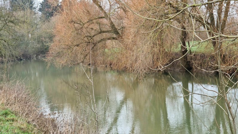 Ballade cent pour cent nature - Peltre