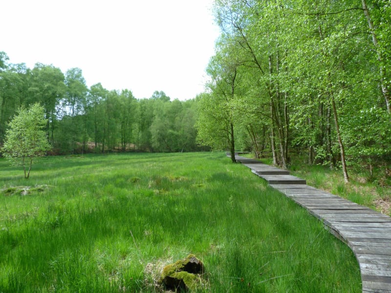 Balade de la Chevrette - Forges-les-Eaux