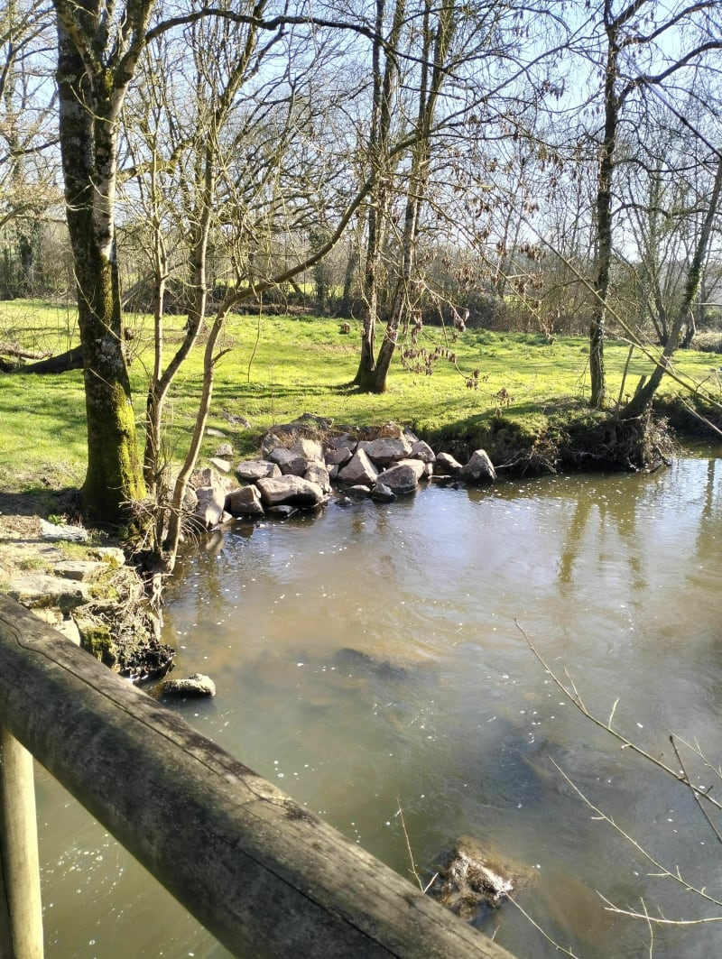 L'île de la Merlerie jusqu'au moulin du Furet - Rives de l'Yon