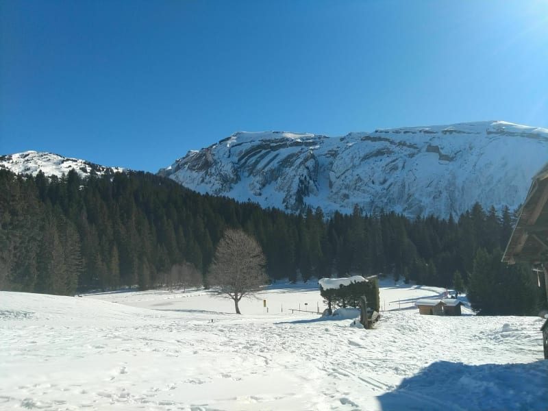 Goudmijnmeer in de winter - Erigné, Morzine