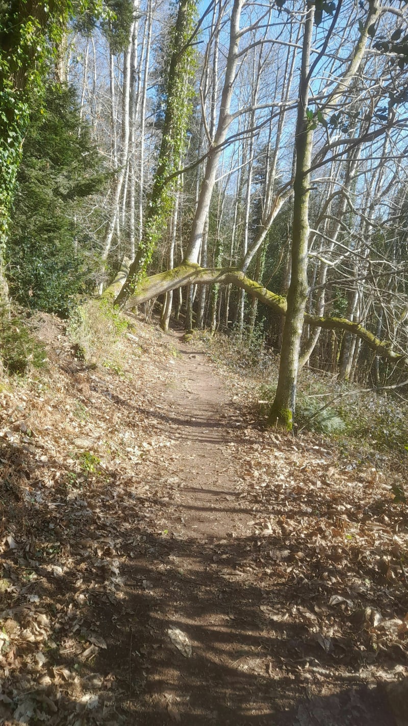 Le Stangala depuis Kerlic le long de l'Odet - Quimper