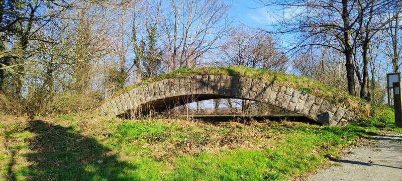 Circuit des Teillacois - Teillay