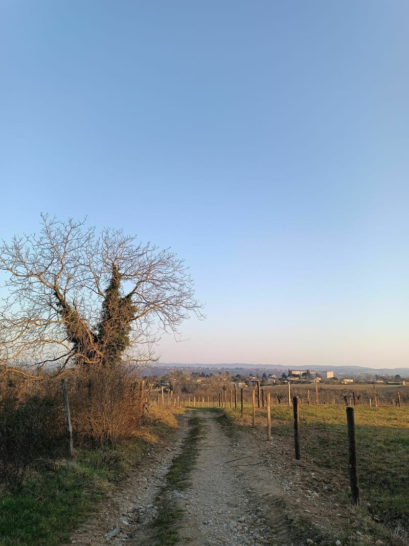Promenade agricole par Champvillard depuis Irigny - Irigny