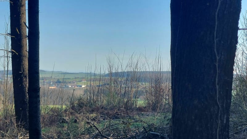 Balade sur les hauteurs de Weinbourg - Weinbourg