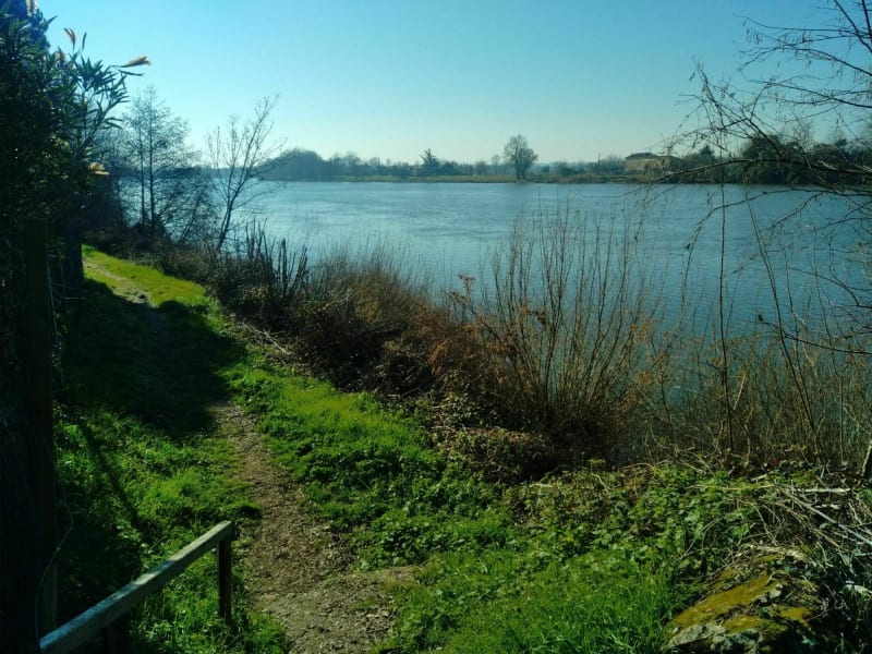 Balade entre vignes et Dordogne - Le Verdet