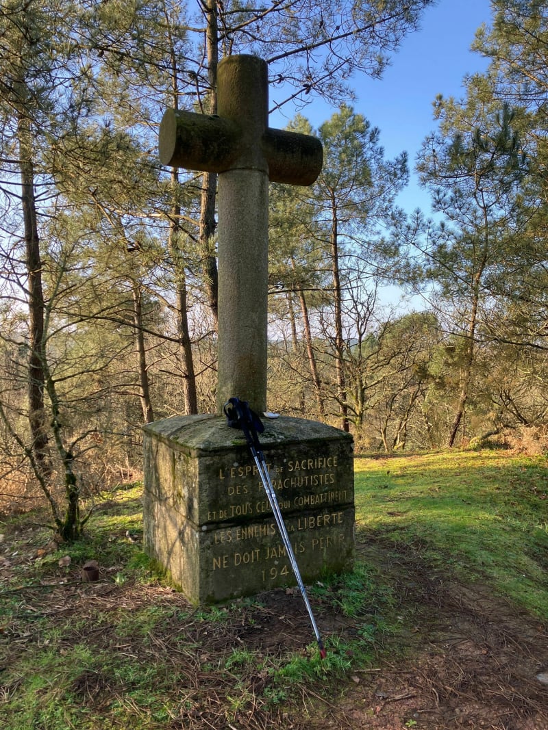 Belle randonnée dans les bois de Pinieu - Sérent