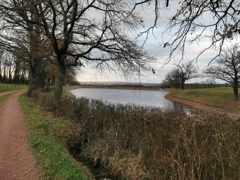 Promenade détente à Commelle-Vernay - Commelle-Vernay