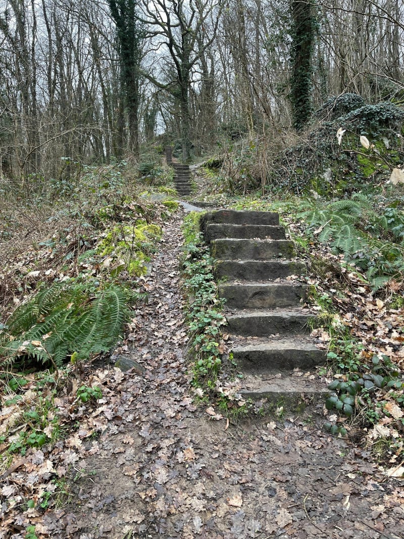 Forêt des Grands Avaux - Champcueil