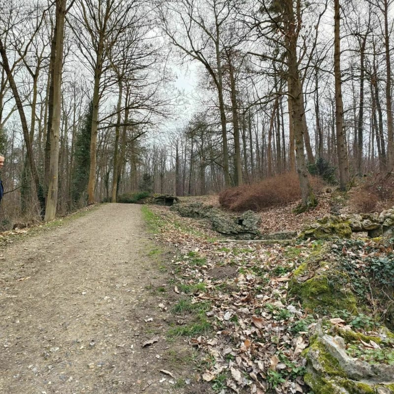Balade dans le bois des éboulures - Franconville