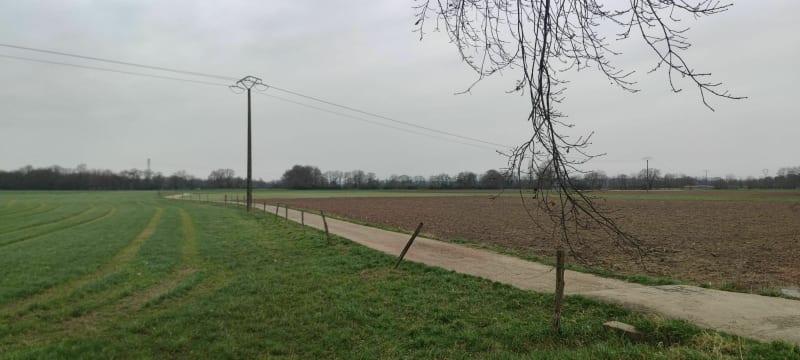Une chouette balade dans les champs de Wolfisheim - Wolfisheim