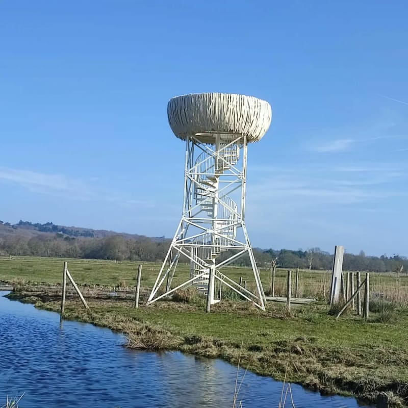 Escapade au marais de Savenay - Savenay