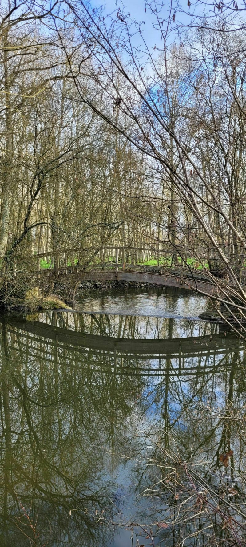 Argentré et L'étang des Alleux le long de la Jouanne - Argentré